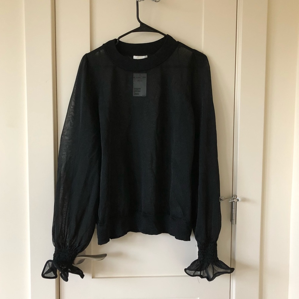 Sheer black shirt with fun sleeves!
